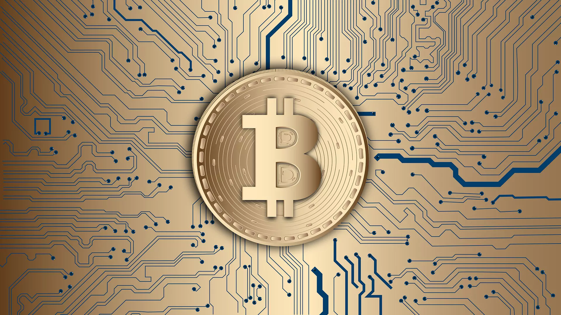 Cryptocurrency experts predict bitcoin’s growth to $ 270,000