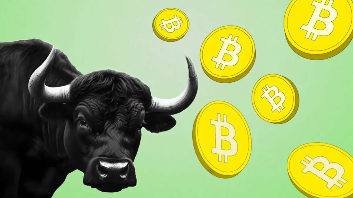 Experts predict a bitcoin bull run in 2026 - NoWorries